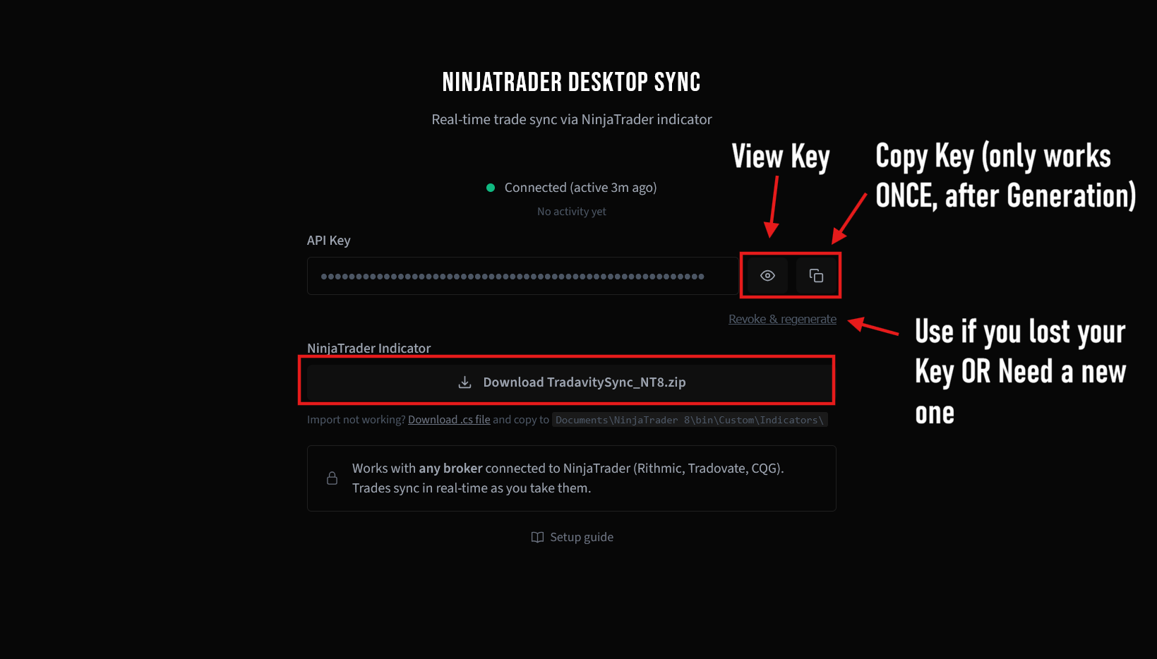 API Key overview with copy, view, download, and revoke options
